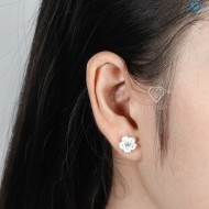 Bông tai bạc nữ hoa mai đính đá đẹp BTN0098 - Trang Sức TNJ